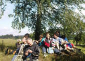 Javor
