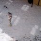 V Ambrele se rozhodně nenudí V Ambrele se rozhodně nenudí
