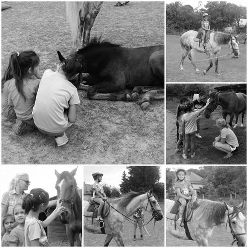 PicMonkey Collage klubíčko